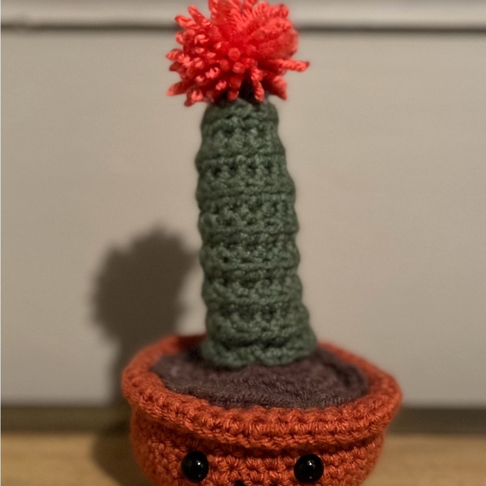 Handmade to order Crochet Cactus Plush in Green and Orange with Red Pom